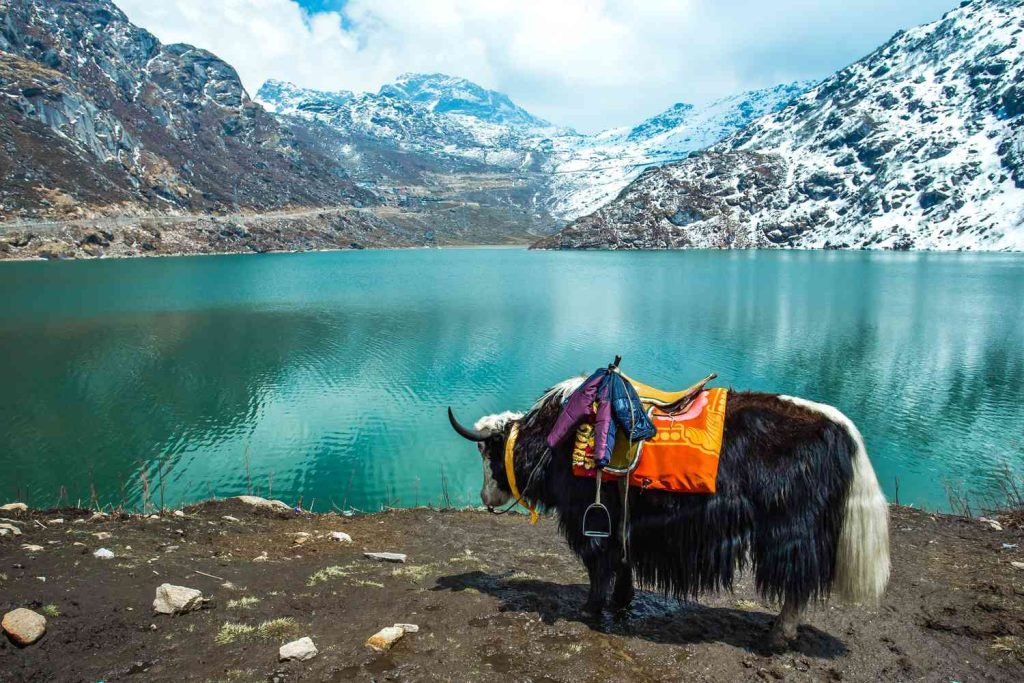 Ultimate Gangtok Pelling Lachung Darjeeling Tour Package