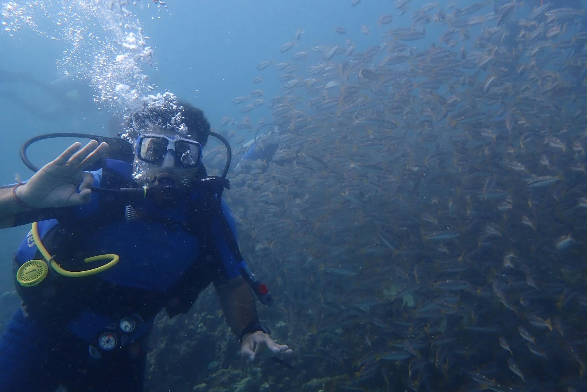 Andaman Splash